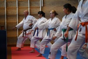 Naifanchi-karateka's laten kihon technieken zien.